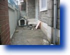 deck hapjungdong 010051.jpg